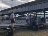 Img 6993