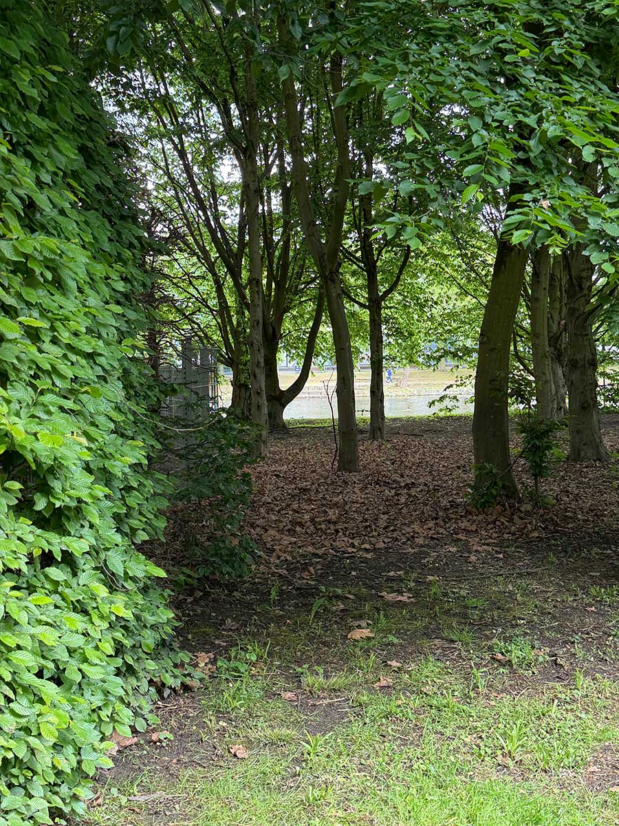Item 1