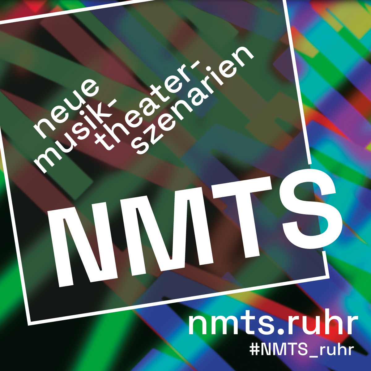logo nmts sw